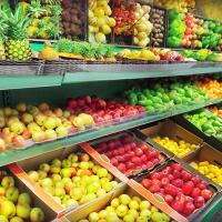 fruits in rows at grocery store