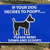 "if your dog decides to poopy please bend down and scoopy" sign