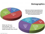 Addison Demographic Pie Charts