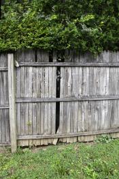 Fence in disrepair