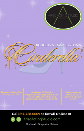 image of cinderella poster