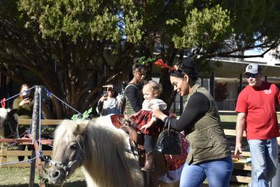 Little girl riding a pony