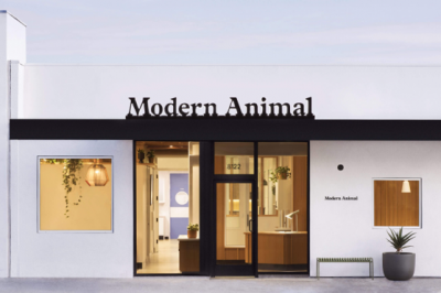 Addison Modern Animal Vet Clinic Rendering