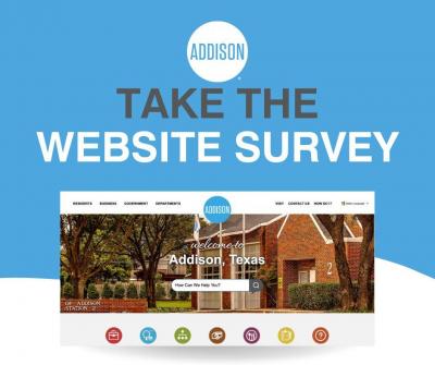 website survey graphic