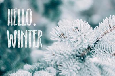 Hello winter