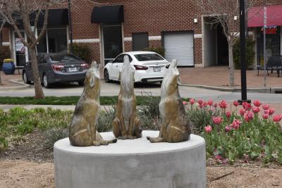Three coyotes howling sculpture.