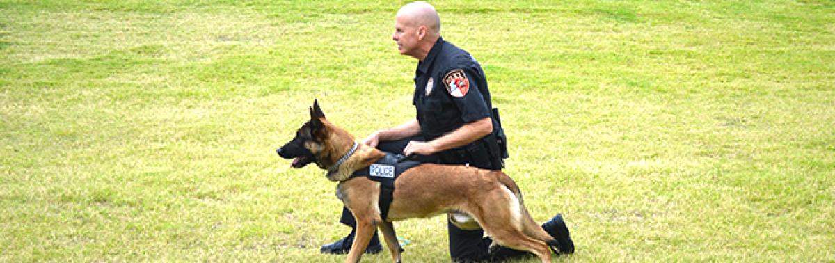 k9 dog with officer
