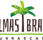 Palmas Brazil Logo